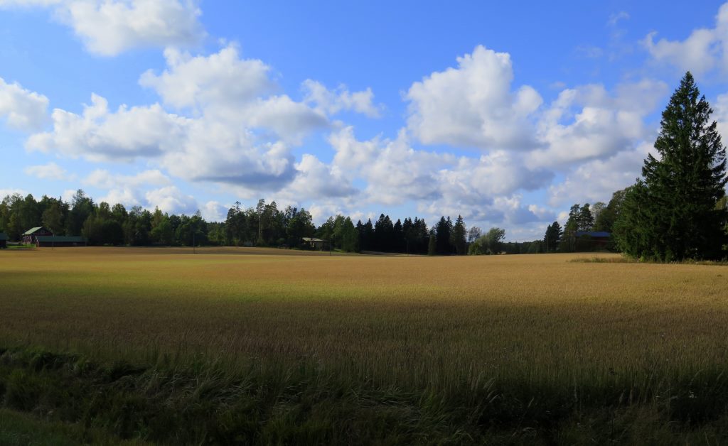Fazenda de trigo na Finlândia.
