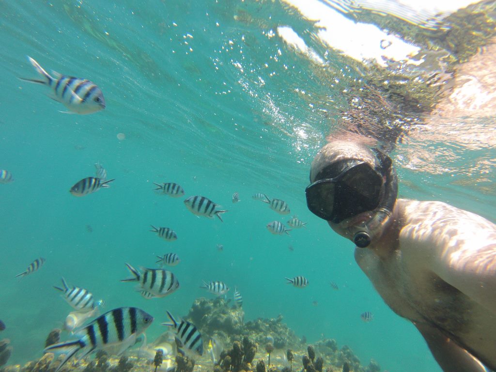 Eu espera ver tubarões... e acabei me contentando com peixinhos de aquário.