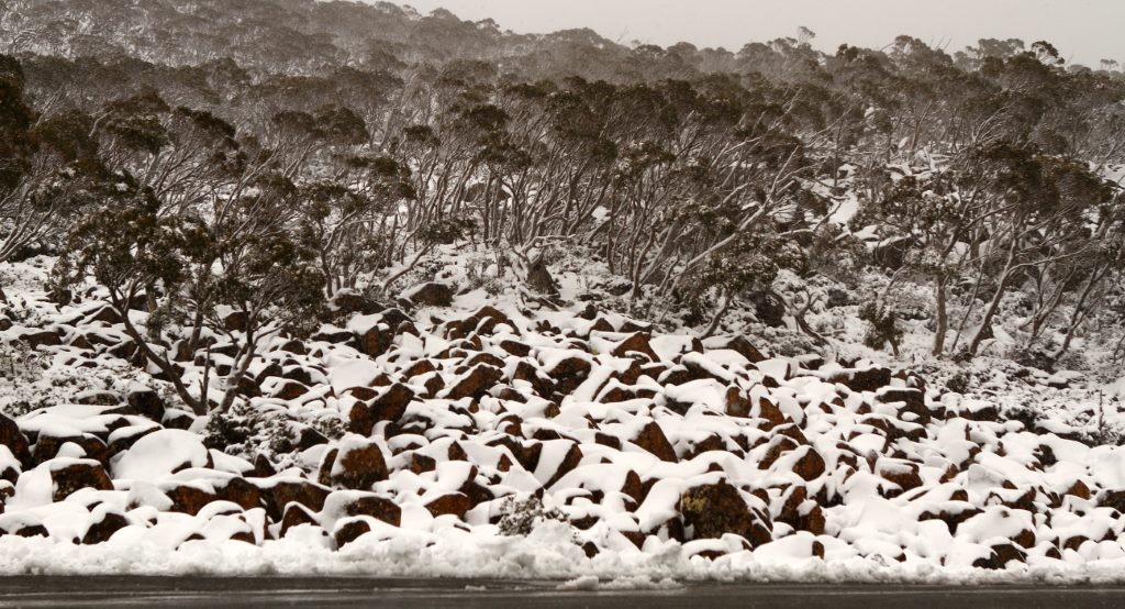 Dia gelado em Mount Wellington - Hobart - Tasmània