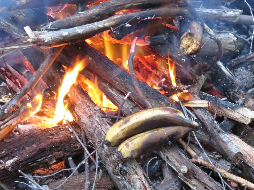 Banana assada em dia de acampamento selvagem.