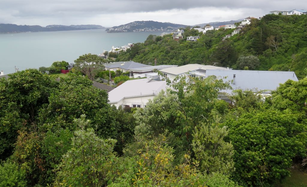 Vista da casa de Barry e Fiona. Wellington - Nova Zelândia