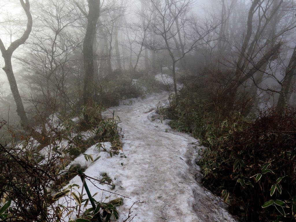 Início da trilha com muita neblina e gelo. Hallasan - Jeju - Coréia do Sul.
