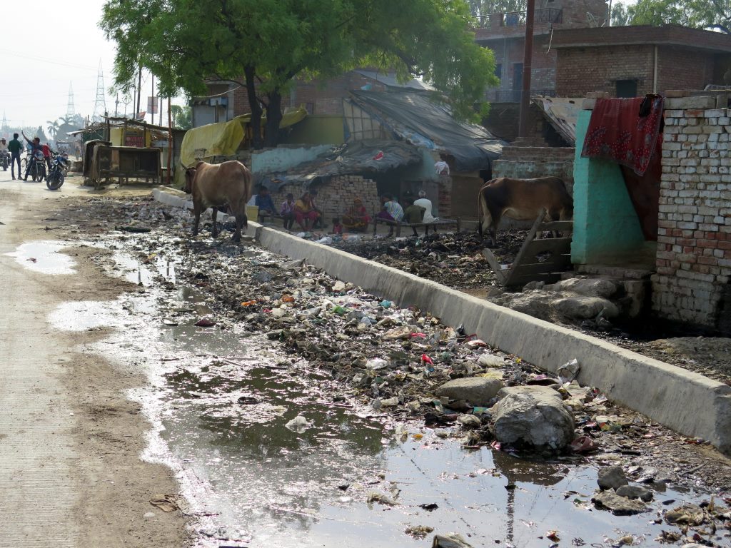 A convivência com o lixo na porta de casa. Uttar Pradesh, Índia.