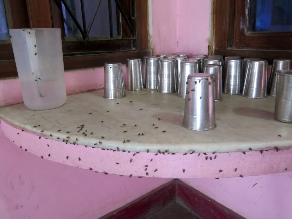 Água mineral não tem... mas pode se servir ali na mesa... é grátis... e os mosquitos vem de brinde...  Típico restaurante de beira de estrada em Uttar Pradesh, Índia.